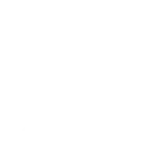 3 300x300